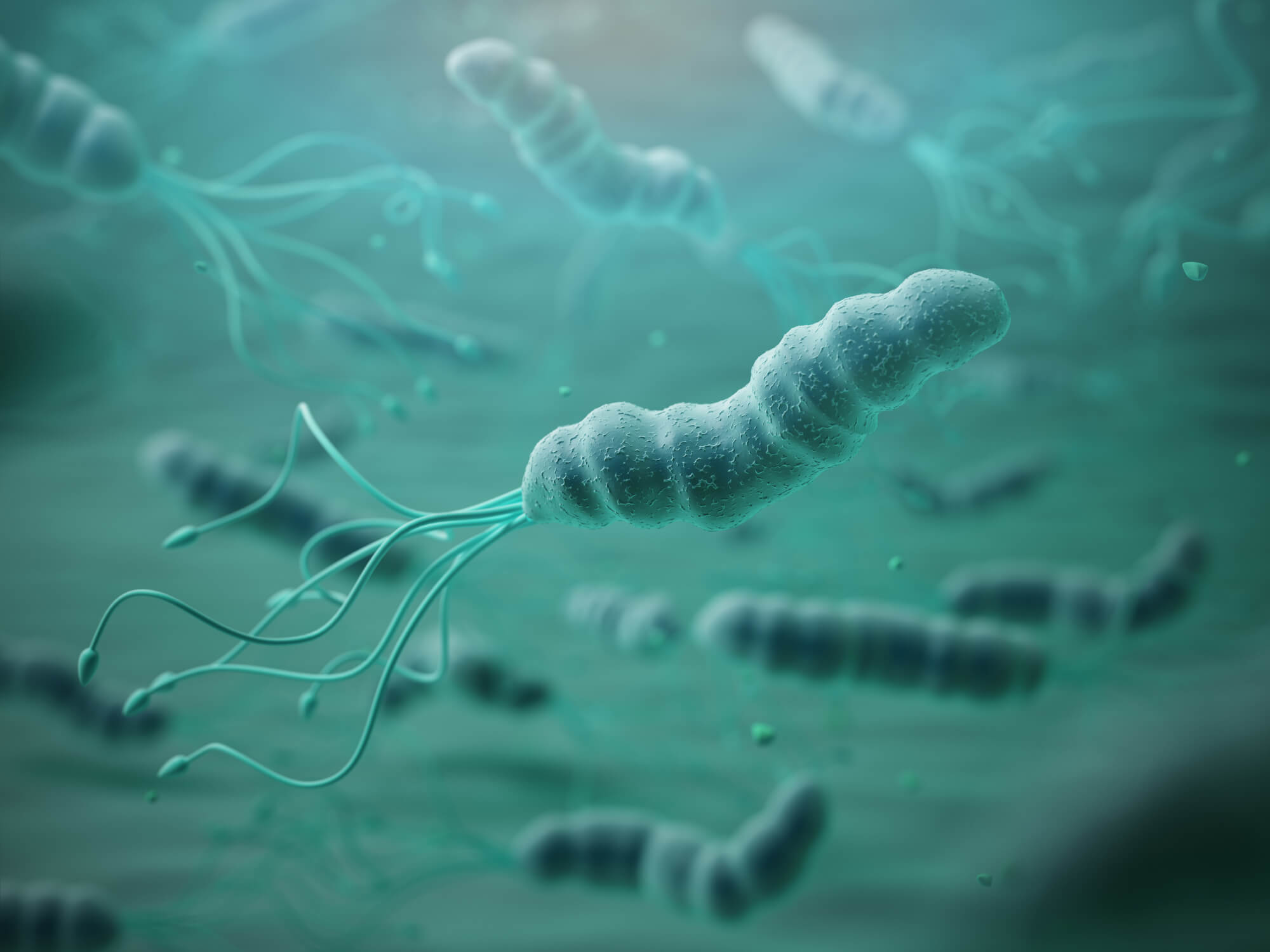 Erradicação do Helicobacter Pylori e Câncer Gástrico: Uma análise crítica
