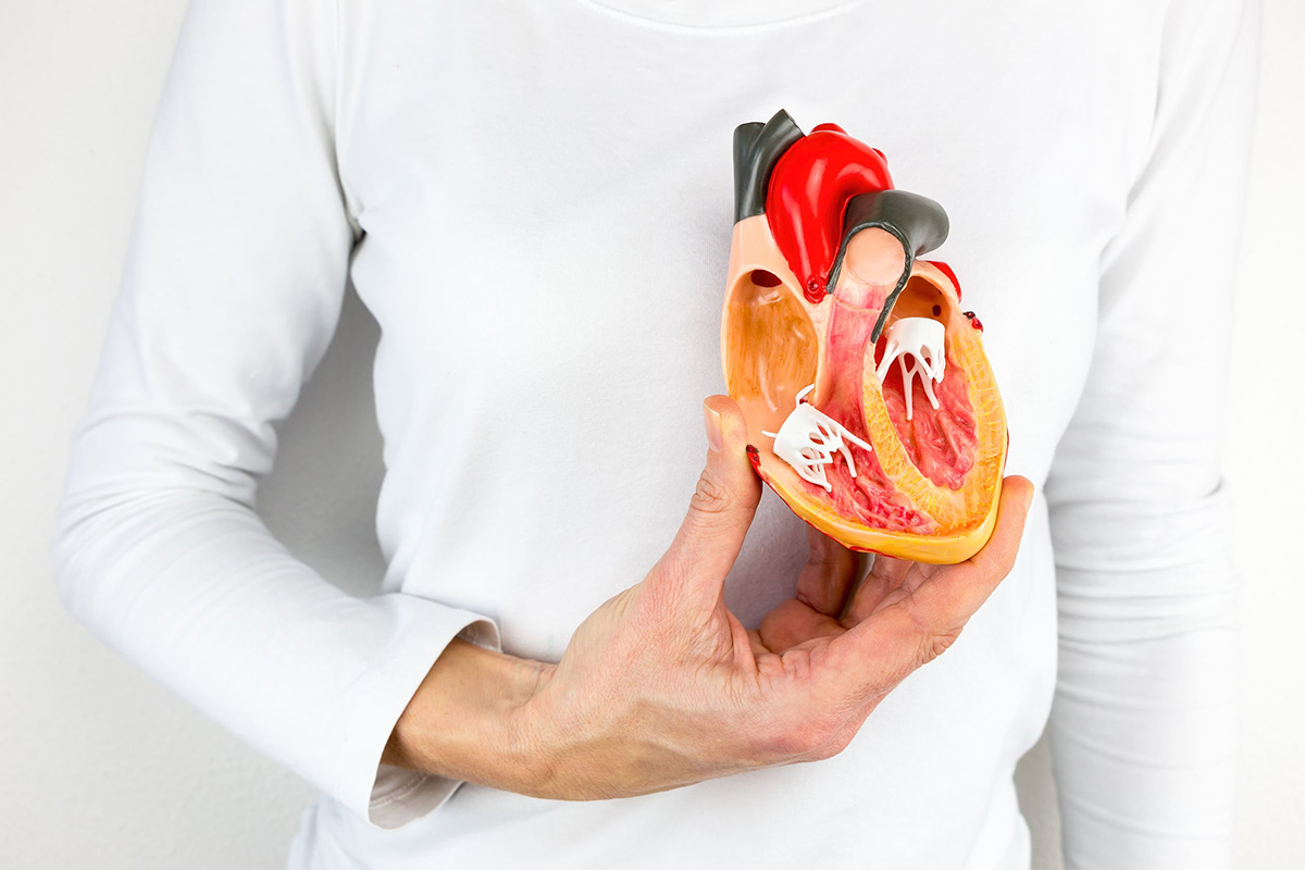 Adaptações Cardiovasculares e Nível de Treinamento: Da Saúde à Performance